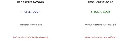 Hóa Chất Vĩnh Cửu (Pfas), Mối Nguy Đến Sức Khỏe Con Người