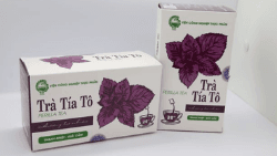 Trà Tía Tô