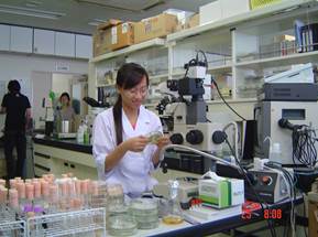Thực tập Nhật Bản