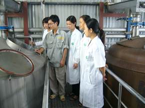 Rượu Whisky