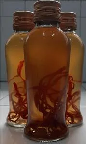 Đông trùng hạ thảo