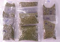 Tiêu xanh sấy khô