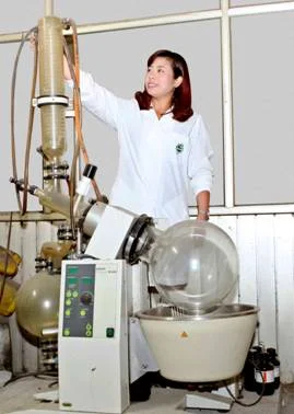 Thu nhận tinh dầu tỏi (Pilot)