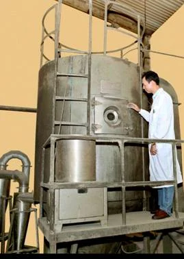 Sấy phun hương gừng